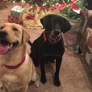 Meet your Posher, Caleb